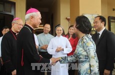 Xmas greetings to Catholics in southern Dong Nai province