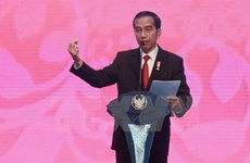 Indonesia launches cyber agency to handle extremism, fake news