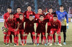 International, domestic sports events await Vietnam in 2018