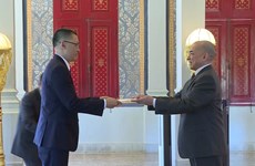 Vietnamese Ambassador presents credentials to Cambodian King