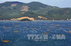 Xuan Dai Bay targets 1.2 million visitors in 2030