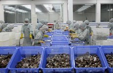 VASEP forecast upbeat shrimp export growth for 2018