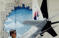 US firm to receive up to 70 mln USD if finding missing MH370