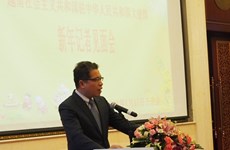  Vietnamese Ambassador meets Chinese press 