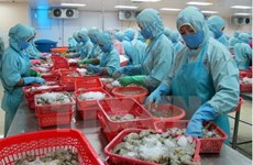 White Book on IUU fishing in Vietnam announced  
