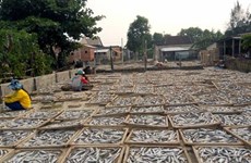 Mekong dried-fish villages prepare for Tet