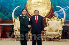 Vietnam treasures ties with Laos: Defence Minister