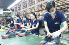 Dong Nai leads in trade surplus