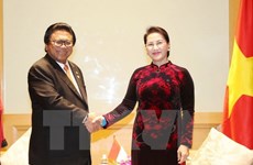 Vietnam, Indonesia should raise trade to 10 billion USD: NA Chairwoman 
