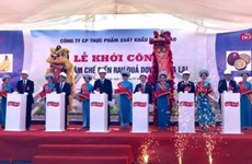 Work starts on fruit processing centre in Gia Lai