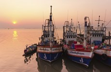 Thai government urgently tackling IUU fishing
