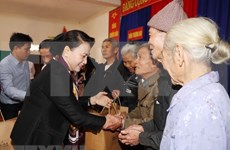 NA Chairwoman pays pre-Tet visit to Ha Tinh province
