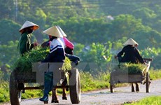 Thua Thien-Hue invests in sustainable poverty reduction