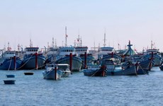 Minister asks for more coordination to curb illegal overseas fishing