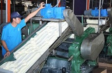 Vietnam rubber latex processing plant inaugurated in Cambodia