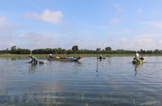 Flood-based livelihoods to help Mekong Delta’s water storage