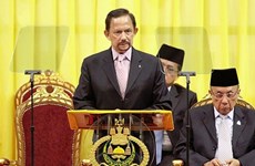 Bruneian Sultan appoints new military commander