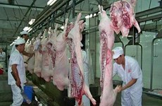 Masan starts meat processing complex in Ha Nam