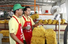 Vietnam ranks third in natural rubber production, export