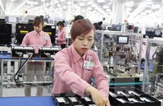 Vietnamese economy shows positive signals in January 
