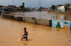 Indonesia: Thousands evacuated from Jakarta over floods