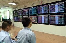 Vietnamese stocks endure another strong selloff