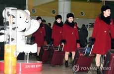 DPRK cheer team arrives in RoK for Winter Olympics