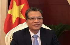 Vietnamese, Chinese parties work to boost liaison 