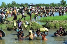 Bangladesh works with UN to repatriate Rohingya people