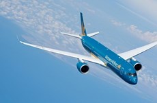 Vietnam Airlines, Jetstar report high on-time rates on Tet occasion