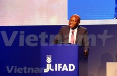 Vietnam attends IFAD Governing Council’s meeting 