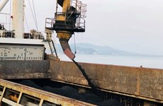 Cam Pha port handles first tonnes of coal on New Year day 