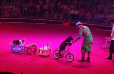 First international circus gala opens in HCM City