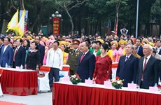 PM attends festival marking Ngoc Hoi-Dong Da victory