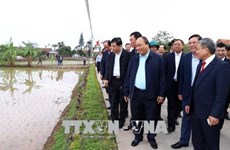 Prime Minister visits farmers in Nam Dinh