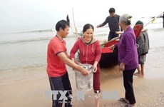 Bumper catches make Tet doubly sweet for fishermen