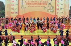 Spring festival to honour national ethnic cultures
