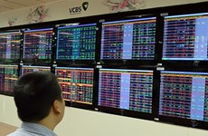 Large-caps strongly support VN-Index