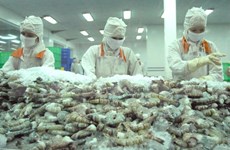 Australian delegation examines shrimp processing chain in Vietnam