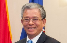 Vietnamese Ambassador hails ASEAN-US cooperative ties