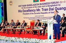 President urges firms of Vietnam, Bangladesh to create impetus for trade ties