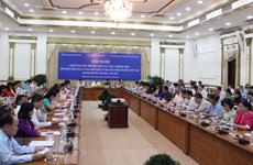 HCM City resolved to optimise given special mechanisms, policies