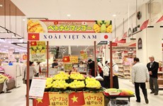 Vietnamese fruits popular in Japan