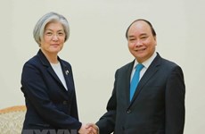 Vietnam, RoK should expand ties to more areas: PM