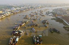 Cai Rang Floating Market to be strong tourism brand of Can Tho