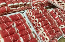Vietnam imports 2,300 tonnes of beef from US, Australia