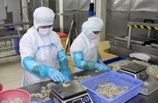 EC ready to support Vietnam in fighting IUU fishing: EU commissioner 