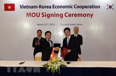 Vietnam, RoK look to increase two-way trade
