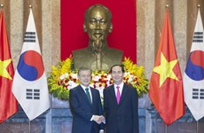 Vietnam, RoK look towards 100 bln USD trade by 2020 