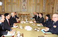 Vietnamese Party chief holds talks with French President 